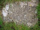 image of grave number 948247